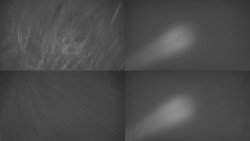 Sdružený snímek Bludný