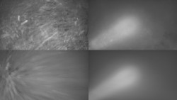 Sdružený snímek Bludný