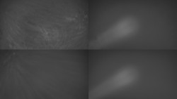 Sdružený snímek Bludný