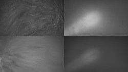 Sdružený snímek Bludný