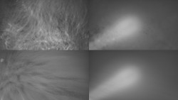 Sdružený snímek Bludný