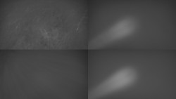 Sdružený snímek Bludný