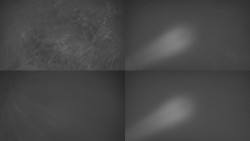 Sdružený snímek Bludný