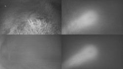 Sdružený snímek Bludný