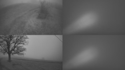 Sdružený snímek Bludný