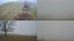 Sdružený snímek Bludný