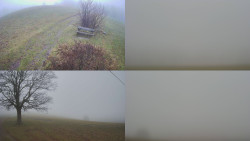 Sdružený snímek Bludný