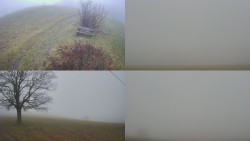 Sdružený snímek Bludný