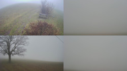 Sdružený snímek Bludný