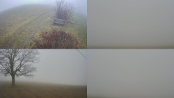 Sdružený snímek Bludný