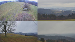 Sdružený snímek Bludný