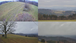 Sdružený snímek Bludný