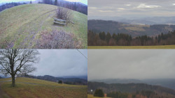 Sdružený snímek Bludný