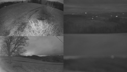 Sdružený snímek Bludný