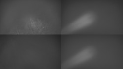 Sdružený snímek Bludný