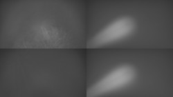 Sdružený snímek Bludný