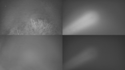 Sdružený snímek Bludný