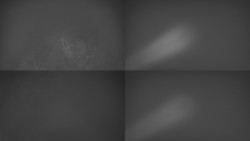 Sdružený snímek Bludný