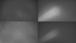 Sdružený snímek Bludný