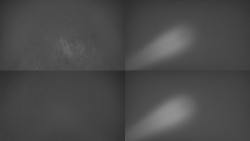 Sdružený snímek Bludný