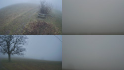 Sdružený snímek Bludný