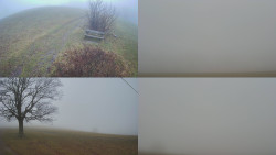 Sdružený snímek Bludný