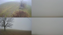 Sdružený snímek Bludný