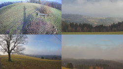 Sdružený snímek Bludný