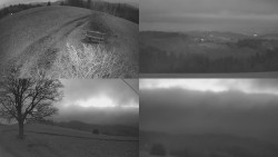 Sdružený snímek Bludný