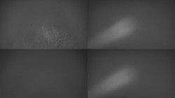 Sdružený snímek Bludný