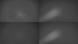 Sdružený snímek Bludný