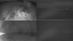 Sdružený snímek Bludný