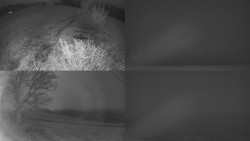 Sdružený snímek Bludný