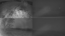 Sdružený snímek Bludný