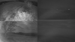 Sdružený snímek Bludný