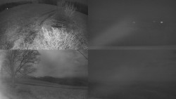 Sdružený snímek Bludný