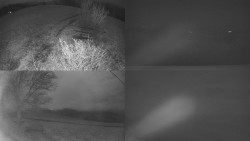 Sdružený snímek Bludný