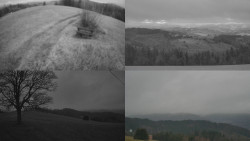 Sdružený snímek Bludný