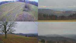 Sdružený snímek Bludný