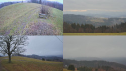 Sdružený snímek Bludný