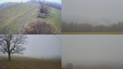 Sdružený snímek Bludný