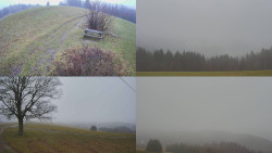 Sdružený snímek Bludný