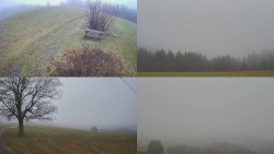 Sdružený snímek Bludný