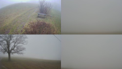 Sdružený snímek Bludný