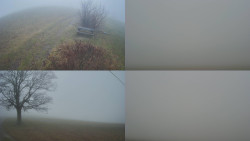 Sdružený snímek Bludný