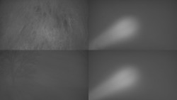 Sdružený snímek Bludný