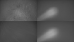 Sdružený snímek Bludný