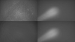 Sdružený snímek Bludný