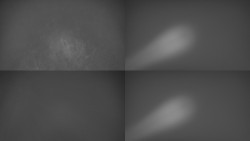 Sdružený snímek Bludný