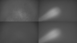 Sdružený snímek Bludný